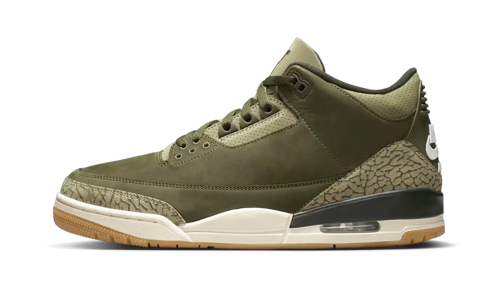 Air Jordan 3 Retro Family Affair