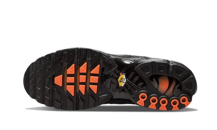 Air Max Plus 3D Swoosh Black