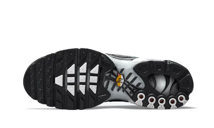 Air Max Plus Dark Smoke Gray