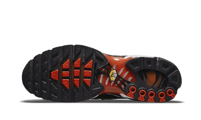 Air Max Plus Sunset Gradient