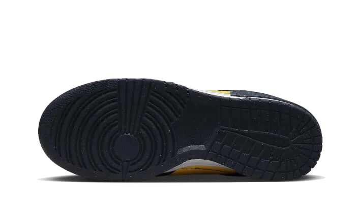 Dunk Low Disrupt 2 Michigan