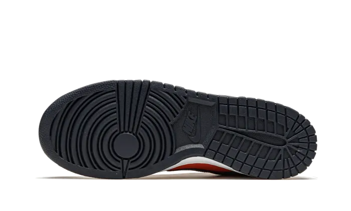 Dunk Low SP Champ Colors