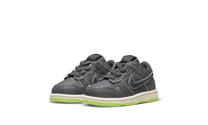 Dunk Low Swoosh Shadow Iron Gray Baby (TD)