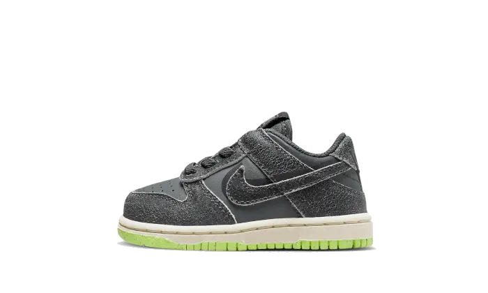 Dunk Low Swoosh Shadow Iron Gray Baby (TD)