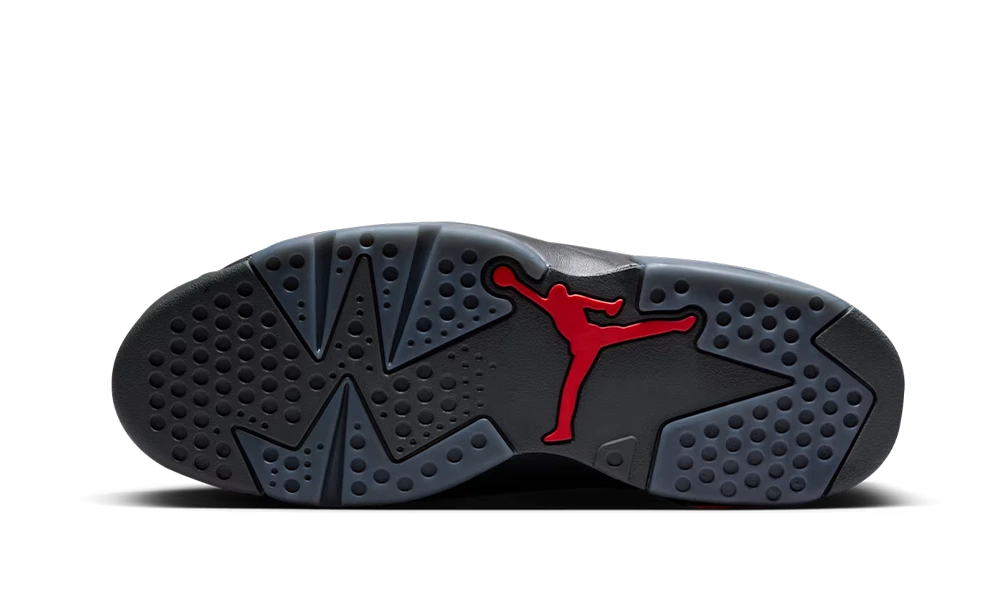 Air Jordan 6 Retro PRM Bin23