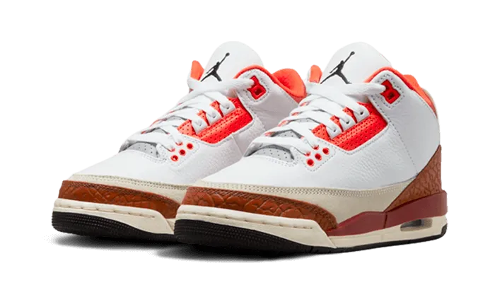 Air Jordan 3 Dunk On Mars