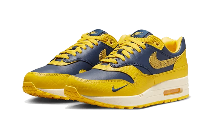 Air Max 1 CO,JP Michigan