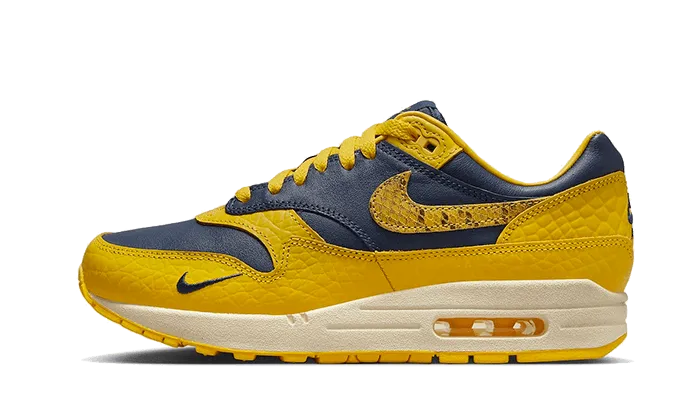 Air Max 1 CO,JP Michigan