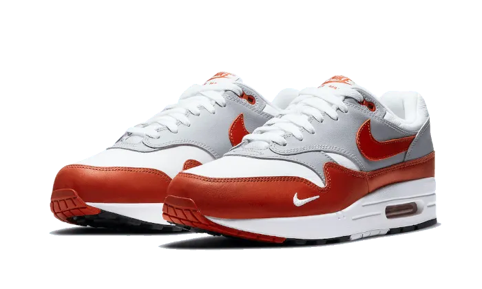 Air Max 1 Martian Sunrise