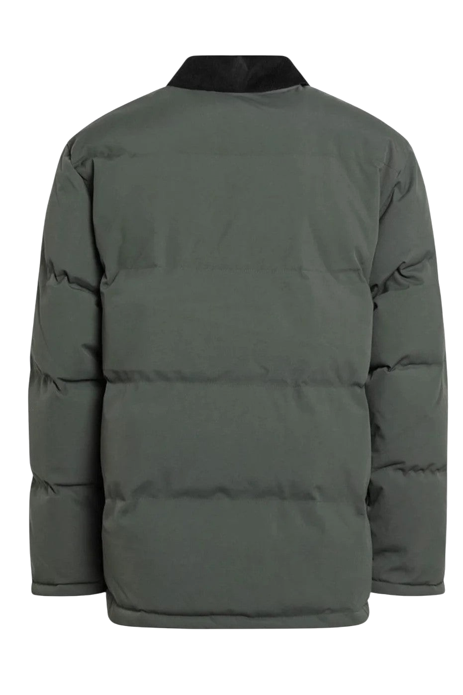 CARHARTT RAYLE JACKET