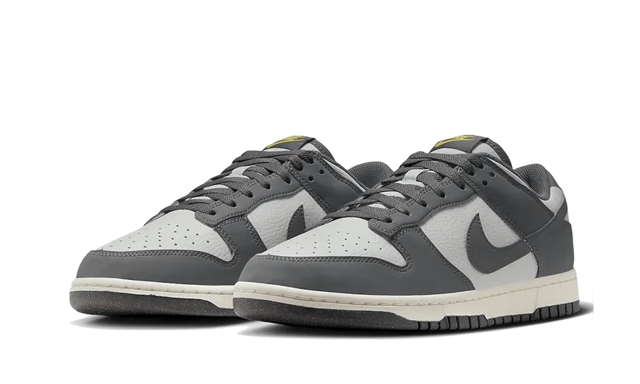 Dunk Low Next Nature Iron Grey Lightning