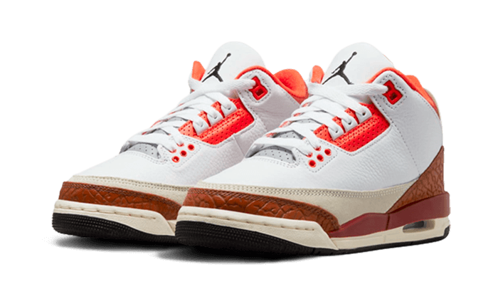 Air Jordan 3 Dunk On Mars