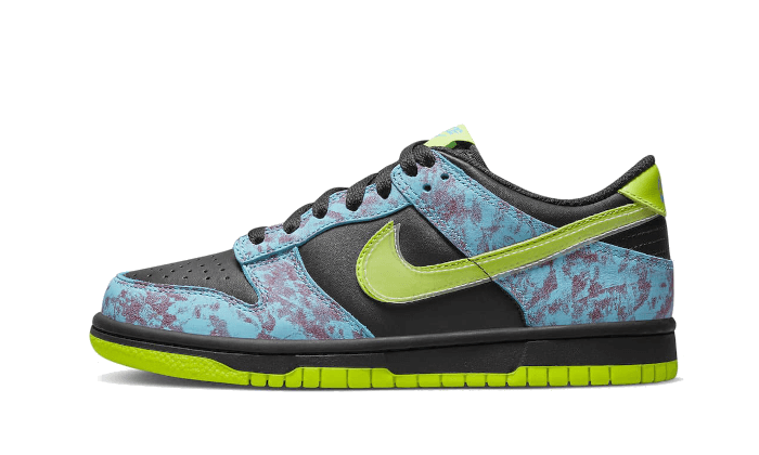 Dunk Low Acid Wash