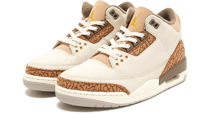 Air Jordan 3 Palomino - CT8532-102