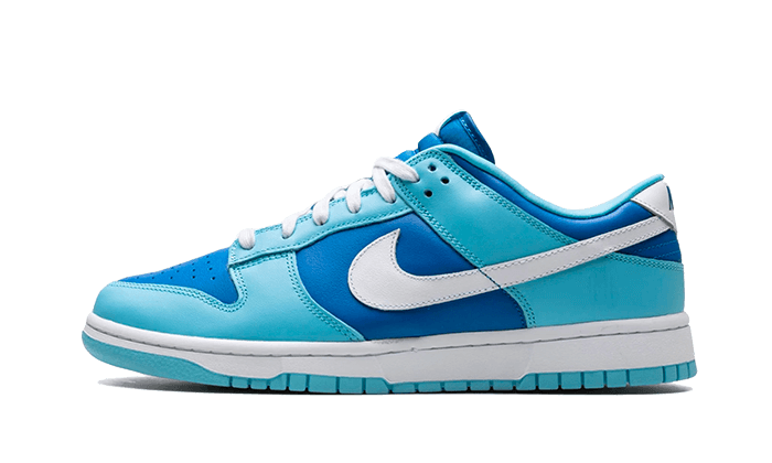 Nike Dunk Low Argon - DM0121-400