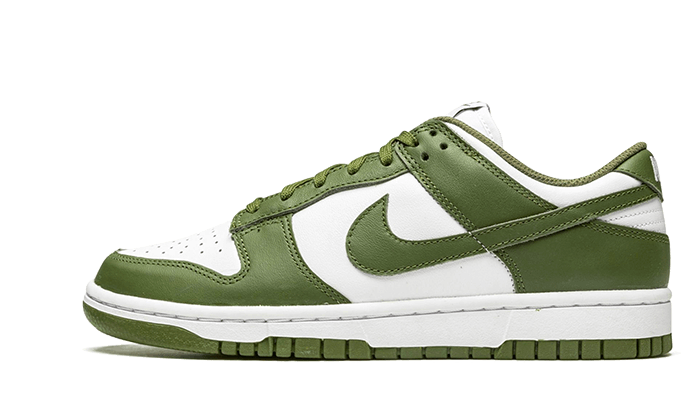 Nike Dunk Low Medium Olive - DD1503-120